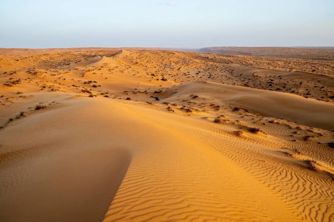 Sand dunes in the Wahiba Sands desert, Oman