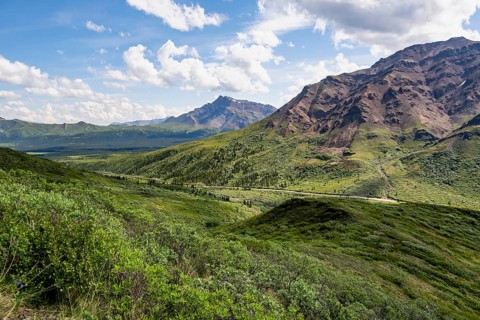 Tundra and mountainous landscape of the Alaska Range, Sable Pass, Denali National Park and
