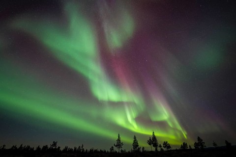 Northern Lights (Aurora borealis), Norrbotten, Lapland, Sweden, September 2024