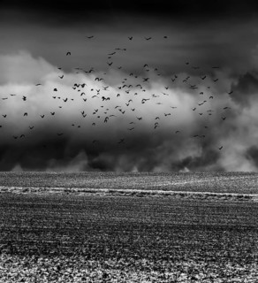Agricultural fields in winter, Oberweser, Upper Weser Valley, Weser Uplands, Weserbergland, Hesse,