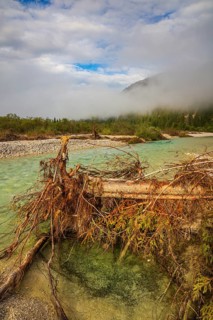 Isar valley nature conservancy area. The wild Isar river flows through its gravel bed past