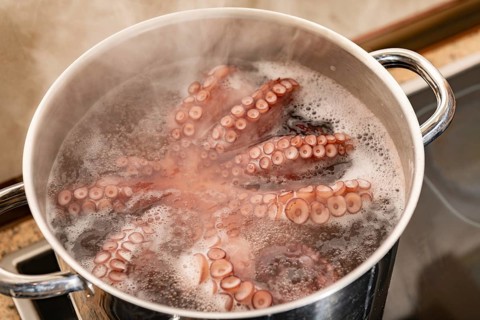 Octopus tentacles are boiling in a stainless steel pot, steam rising, showcasing a culinary process