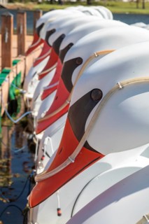 New Orleans, Louisiana - Swan boat rentals on Big Lake in New Orleans City Park