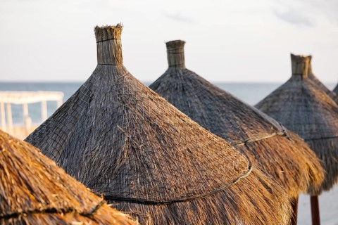 Close-up of traditional thatched umbrellas lining the serene beach of Tulum in Riviera Maya,