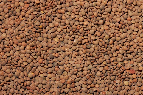 A high-quality image showing a dense, full-frame view of dry brown lentil seeds, highlighting their