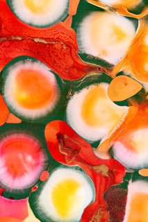 A vibrant display of abstract ink swirls in red, orange, yellow, and green hues, creating an