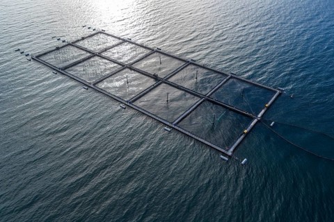 Salmon farm north of El Chaiten, aerial view, Chile