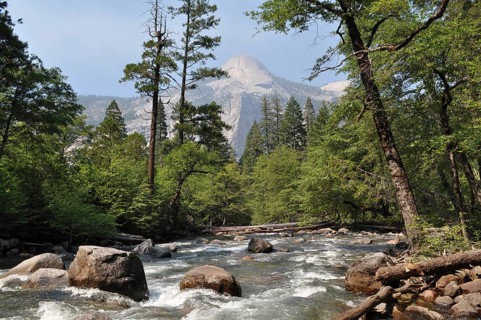 Clear river flows through a forest with rocks and a mountain in the background in Yosemite National