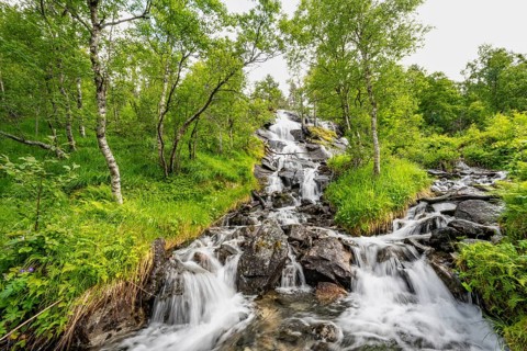 Waterfall in forest between birch trees, long exposure, Innerdalen, Hochtal, Sunndal, Møre og