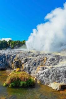 Prince of Wales and Pohutu geysers erupting, Te Puia Thermal Valley, Rotorua, Bay of Plenty, North