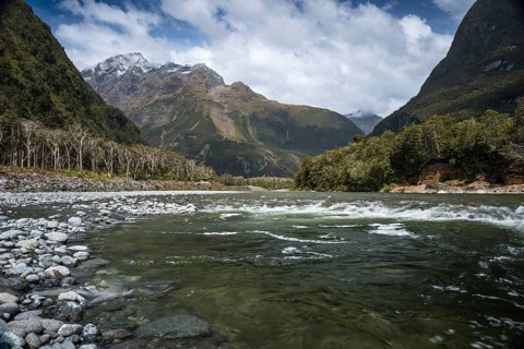 Landscape on Milford Sound with river and mountains. Cleddau River, Milford Sound, Fiordland