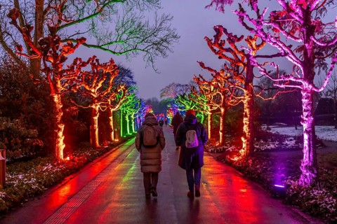 Park lights, events in winter, in the Grugapark in Essen, many different light installations,