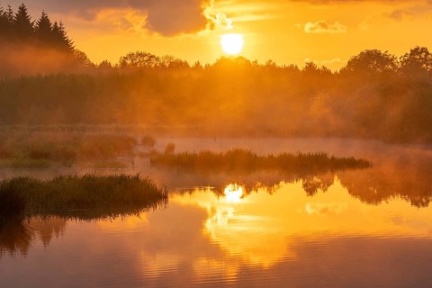 Sunset at Ahlhorn fish ponds, Ahlhorn, Lower Saxony, Germany