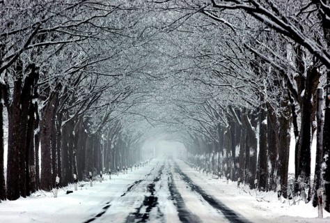 Nennhausen, DEU, 30.12.10 - Snowy Alleestrasse, Dresden, Germany