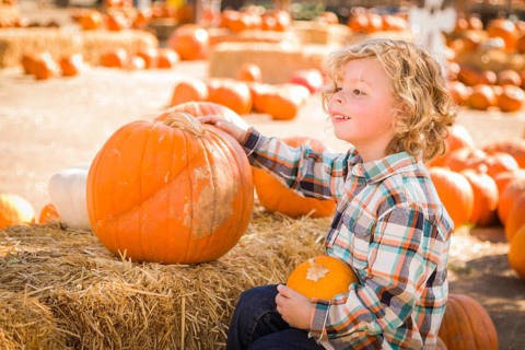 Little Boy Sitting and Holding His Pumpkin in a Rustic Ranch Setting at the Pumpkin Patch