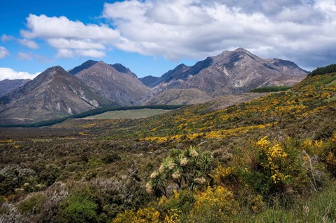 Landscape with mountains, Brunel Peaks, Fiordland National Park, Southland Region, South Island,