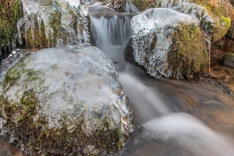 Branches are covered with ice near the river. The water flows gently and forms ice formations on