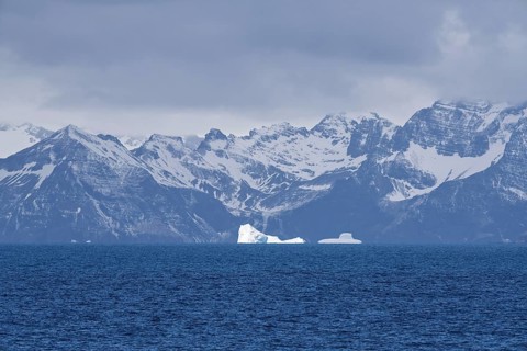 Icebergs floating in front of snow-covered coastal mountain chain, cloudy sky, South Georgia, South