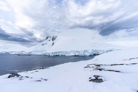 Snowy mountain landscape with glacier break-off on the coast, gentoo penguins (Pygoscelis papua) on