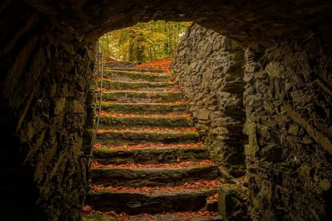 Altzella Abbey is a former Cistercian abbey west of the town of Nossen. In the Middle Ages, it was