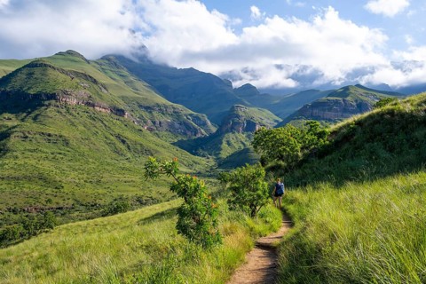 Female hiker on hiking trail, mountains with fog at the amphitheatre, Drakensberg National Park,