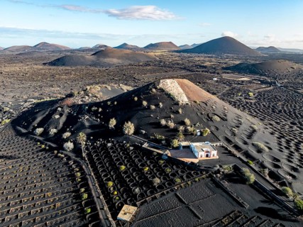 Typical drywall viticulture in volcanic landscape, on volcanic ash, lapilli, aerial view, vines, La