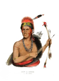 American Indian, Native American, Pow-A-Sheek, a chief of the Fox Indians, United States of