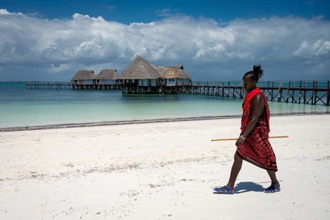 MICHAMVI KAE, ZANZIBAR - OCTOBER 14, 2025: A Maasai man in traditional red clothing walks across a