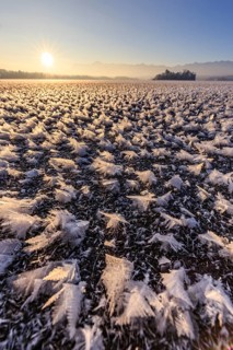 Ice roses, ice, frozen lake, sunrise, mood, winter, mountains, Staffelsee, Murnau, Alpine