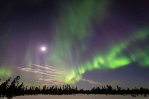 Northern Lights (Aurora borealis), Muddus National Park, Laponia World Heritage Site, Norrbotten,