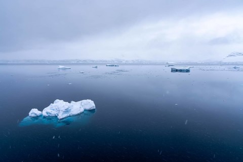 Floating ice floes on mirror-smooth water surface during snowfall, snow-covered coastline in the