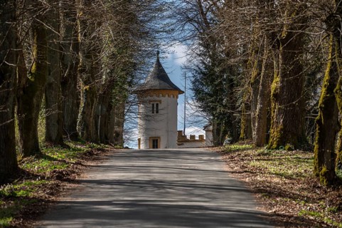 Linden avenues (Tilia) to Greifesntein Castle, Heiligenstadt, Upper Franconia, Bavaria, Germany