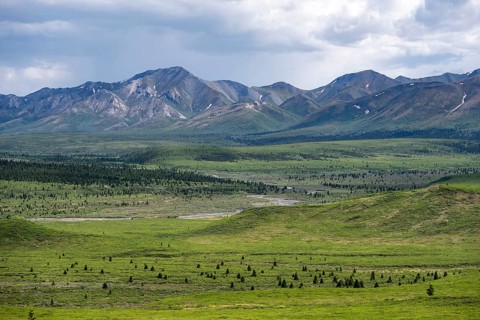 Tundra and mountain landscape with dramatic cloudy sky, Denali National Park, Alaska, USA