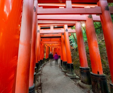 Visitors on a journey through hundreds of red traditional torii gates, Fushimi Inari-taisha, Shinto