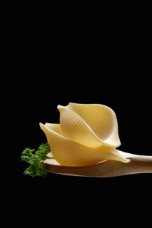 Conchiglione, Italian pasta variety on cooking spoon in front of black background, Italy