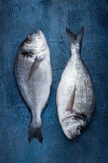 Fresh raw dorado fish, on a dark blue background, top view, two pieces, no people