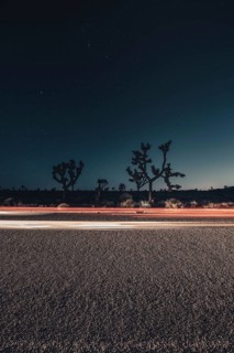 Road at night in Joshua Tree National Park