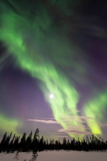 Northern Lights (Aurora borealis), Muddus National Park, Laponia World Heritage Site, Norrbotten,