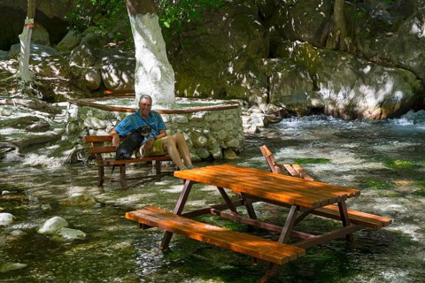Man sitting with dog on a bench next to a clear, flowing stream in the shade of trees, Saklikent