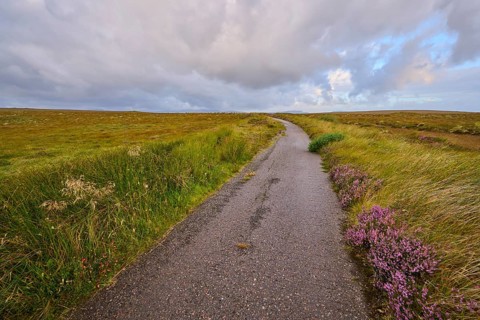 Narrow path through green fields under a cloudy sky with heather on the wayside, Moine House, Moine