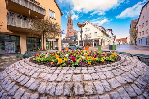 Colourful flower bed in an urban environment with church in the background, Nagold, Calw district,