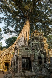 Ta Prohm, Angkor Wat, Angkor, UNESCO World Heritage Site, Siem Reap, Cambodia, Indochina, Southeast