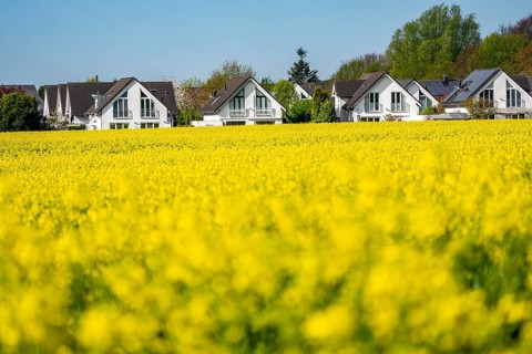 Residential development, residential area, single-family houses, in the south of Essen, living in