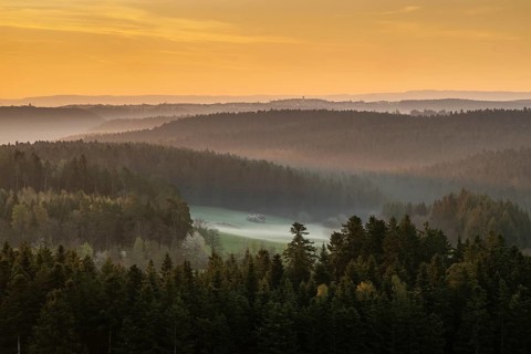 Sunrise and morning fog, Black Forest near Freudenstadt, Baden-Württemberg, Germany