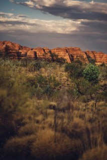 Bungle Bungle Range, Outback, hiking in Australia in high heat, Western Australia, Australia