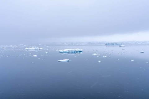 Floating ice floes and small icebergs on a mirror-smooth sea surface in fog and snowfall, glacier
