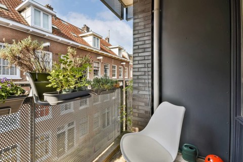 A contemporary balcony featuring potted plants and an inviting urban view, creating a serene