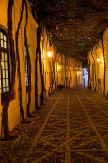 Historic cobbled street Calle Ciegos lit in evening, Gonzalez Byass bodega, Jerez de la Frontera,