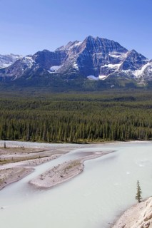 Athabasca River with glacial meltwater carrying rock flour in front of the Rocky Mountains, Jasper