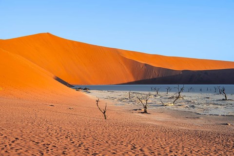 Dead camel thorn trees (Vachellia erioloba), red sand dunes, white salt pan, Dead Vlei, Sossusvlei,